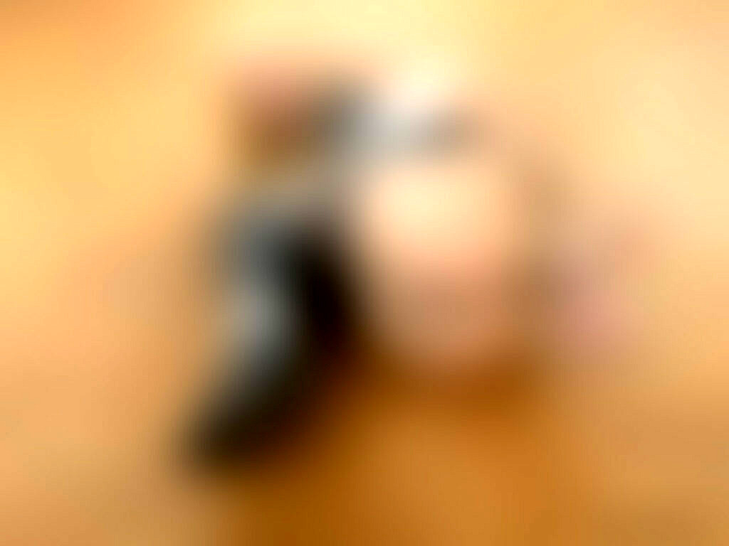 feim0006